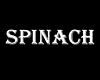 Spinach (),  